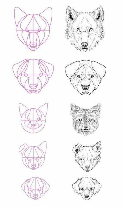 66 top idées & tutos de dessins de chiens : pour apprendre à dessiner des chiens 9