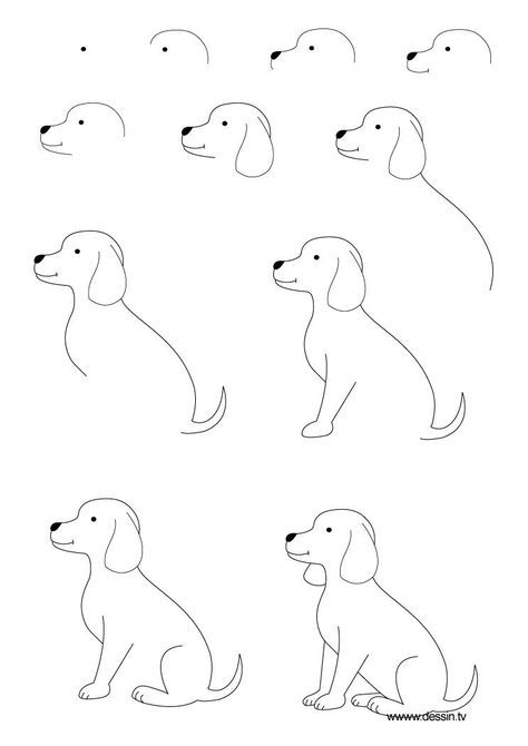 66 top idées & tutos de dessins de chiens : pour apprendre à dessiner des chiens 10