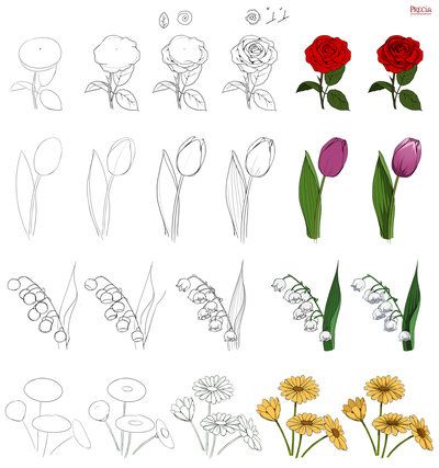 100 top idées & tutos de dessins de fleurs 48