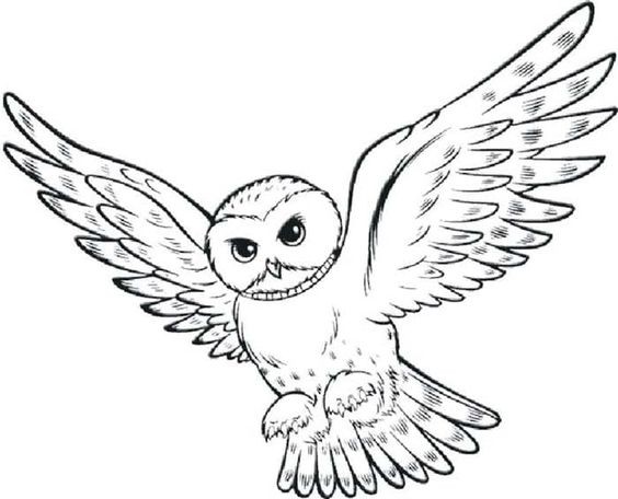 100 Dessins de Coloriages à Imprimer 83 100 Dessins de Coloriages à Imprimer 83