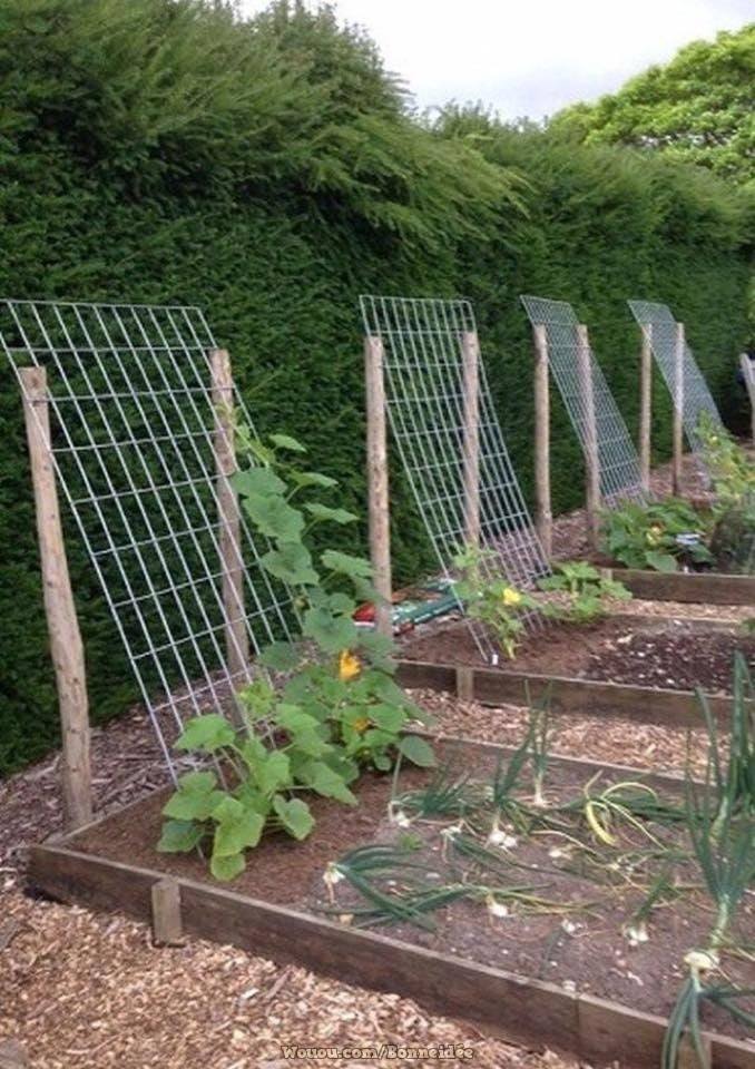 21 idées pour mettre un potager dans votre jardin 17