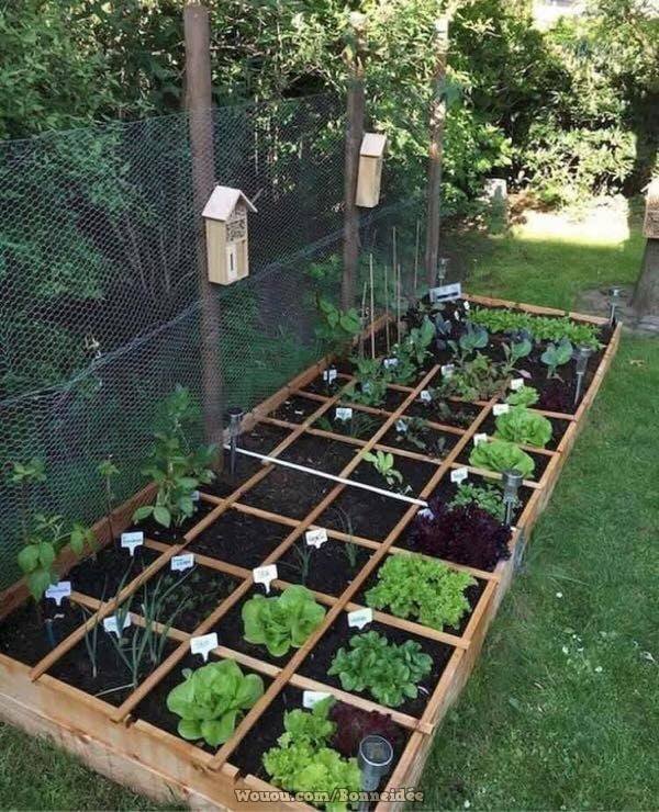 21 idées pour mettre un potager dans votre jardin 2