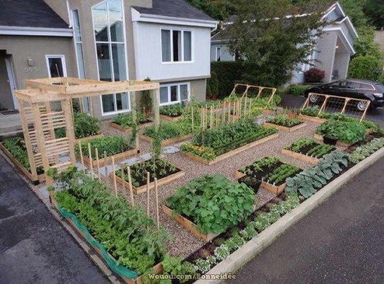 21 idées pour mettre un potager dans votre jardin 21