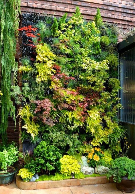 50 top idées de jardins verticaux pour s'inspirer 48
