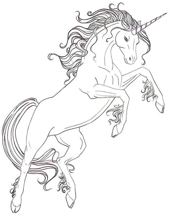 100 Dessins de Coloriages Licornes à Imprimer 5 100 Dessins de Coloriages Licornes à Imprimer 5