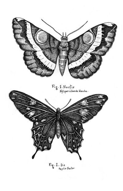 100 top idées de tatouages papillons originaux 85