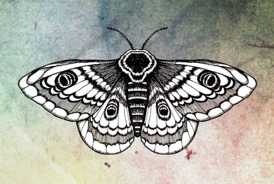 100 top idées de tatouages papillons originaux 99