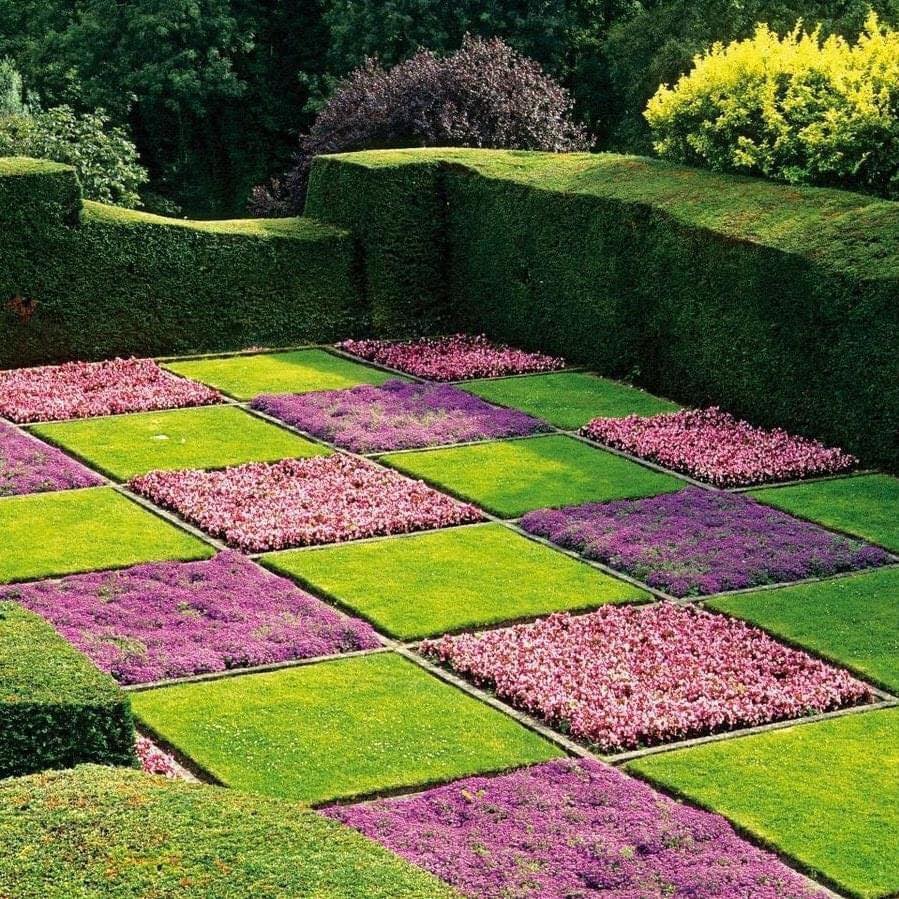 100 super idées pour embellir son jardin 2