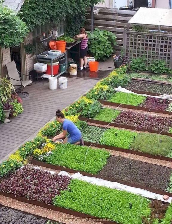 21 idées pour mettre un potager dans votre jardin 1
