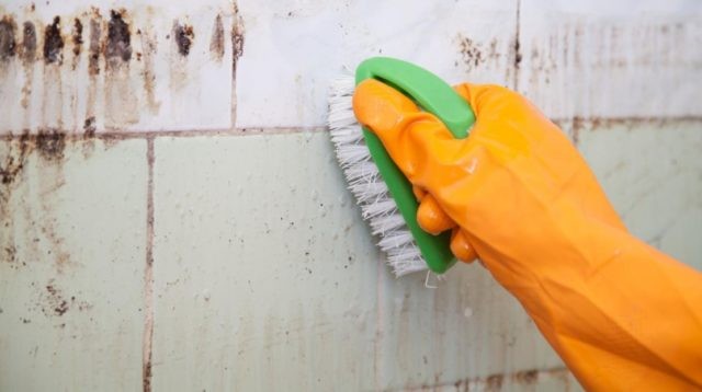 10 astuces hyper-simples pour nettoyer de la moisissure de mur 2