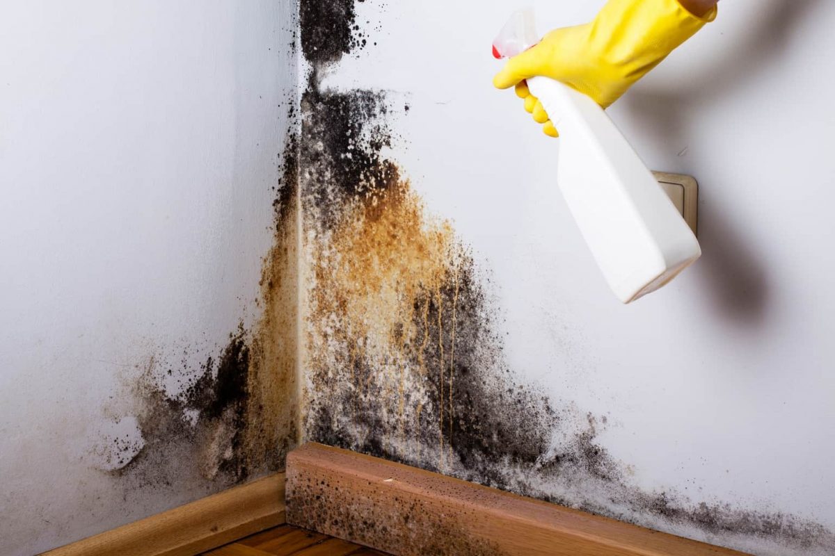 10 astuces hyper-simples pour nettoyer de la moisissure de mur 3