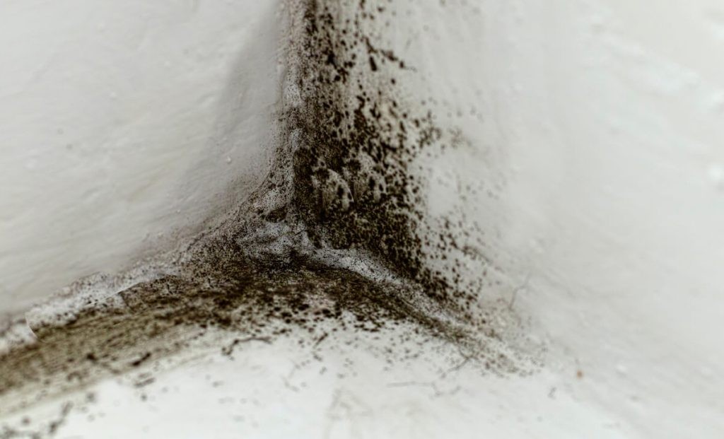 10 astuces hyper-simples pour nettoyer de la moisissure de mur 4