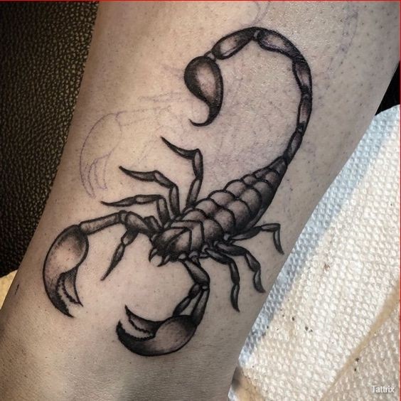 Les 50 plus beaux tatouages scorpion 24