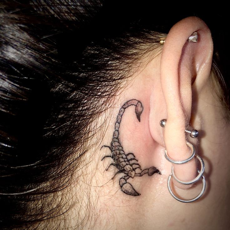 Les 50 plus beaux tatouages scorpion 27