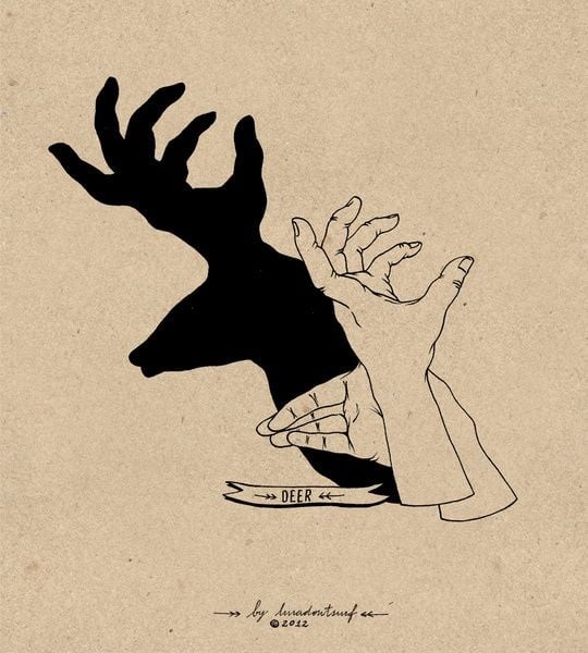 13 idées d'ombres chinoises à faire avec les mains 3 13 idées d'ombres chinoises à faire avec les mains 3