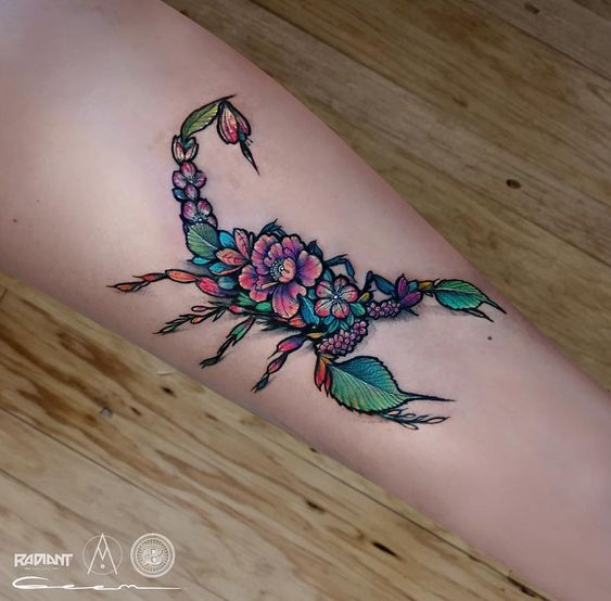Les 50 plus beaux tatouages scorpion 50