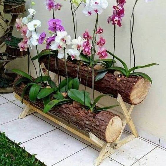 30 idées créatives pour cultiver des orchidées 4