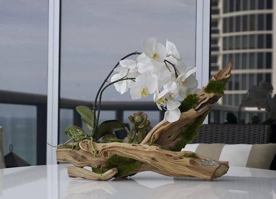 30 idées créatives pour cultiver des orchidées 8