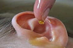 5 astuces hyper-simples pour déboucher le nez 3 5 astuces hyper-simples pour déboucher le nez 3