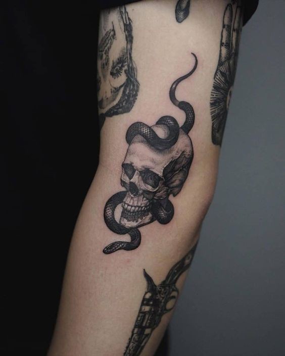 100 top idées de tatouages serpents 41