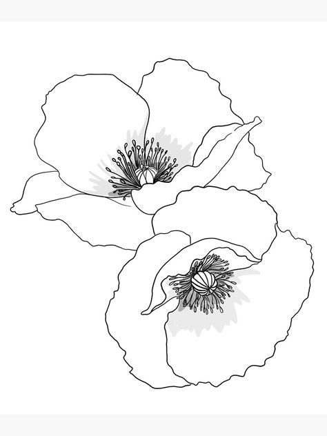 50 top idées de dessins de fleurs : pour apprendre à dessiner des fleurs facilement 11