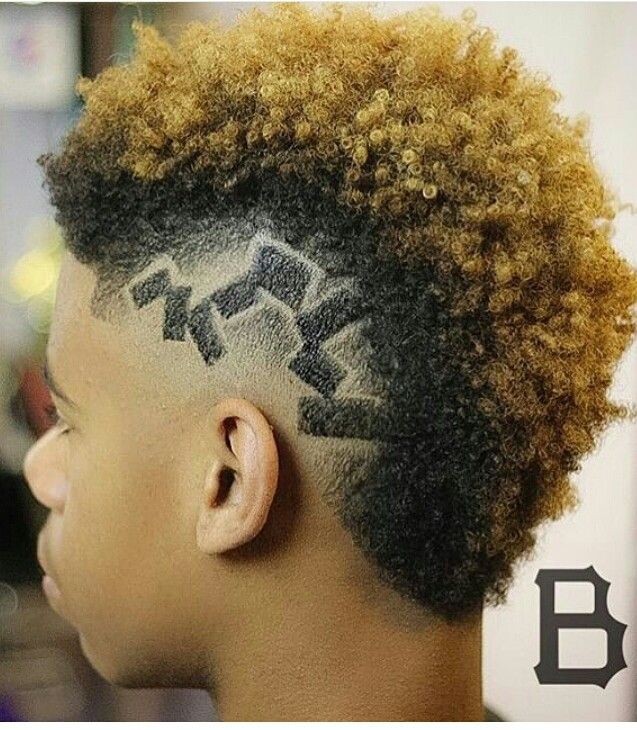 44 top idées de coiffures afro pour homme 14