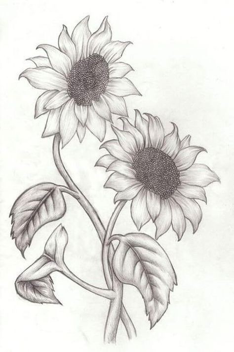 50 top idées de dessins de fleurs : pour apprendre à dessiner des fleurs facilement 14