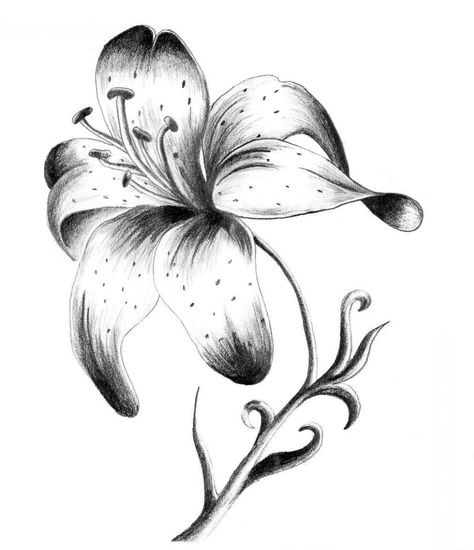50 top idées de dessins de fleurs : pour apprendre à dessiner des fleurs facilement 17