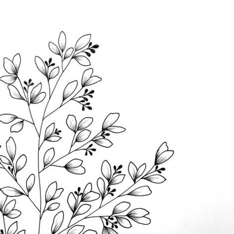 50 top idées de dessins de fleurs : pour apprendre à dessiner des fleurs facilement 18