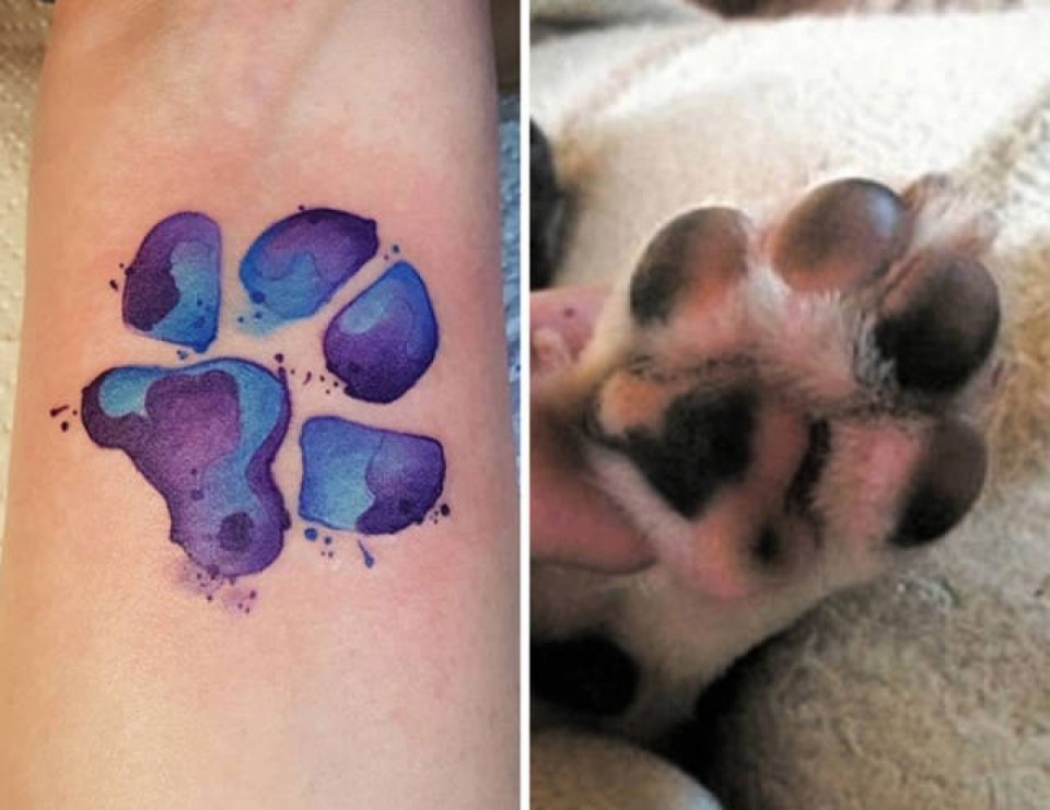 50 top idées de tatouages patte de chien 20