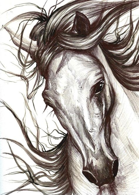 50 top idées de dessin de cheval 36
