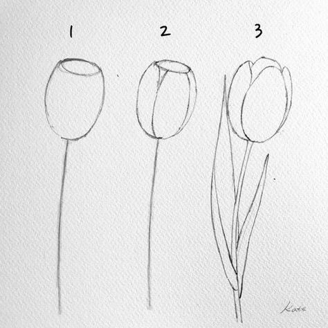 50 top idées de dessins de fleurs : pour apprendre à dessiner des fleurs facilement 25