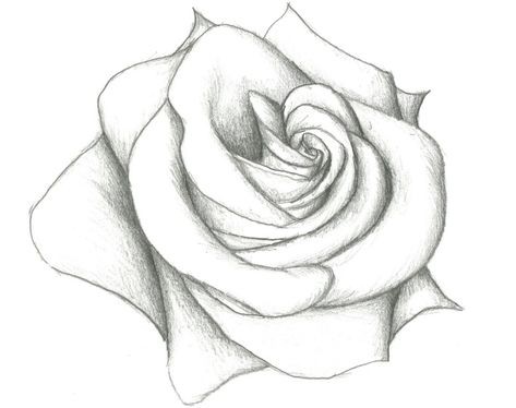 50 top idées de dessins de fleurs : pour apprendre à dessiner des fleurs facilement 27