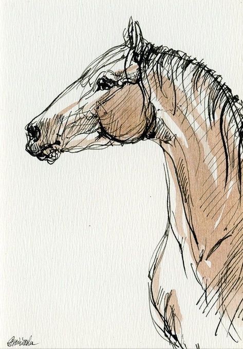 50 top idées de dessin de cheval 34