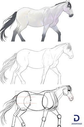 50 top idées de dessin de cheval 3