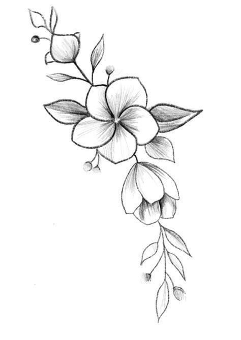 50 top idées de dessins de fleurs : pour apprendre à dessiner des fleurs facilement 3