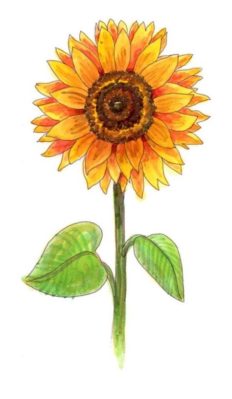 50 top idées de dessins de fleurs : pour apprendre à dessiner des fleurs facilement 32