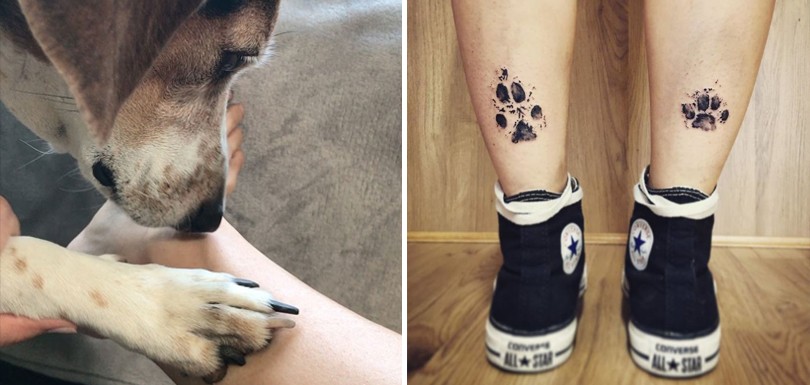 50 top idées de tatouages patte de chien 31