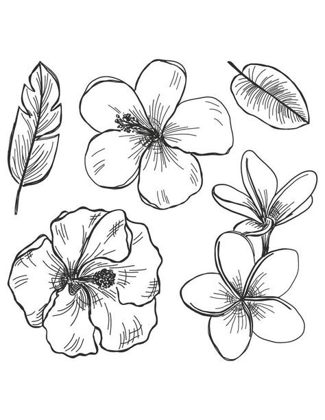 50 top idées de dessins de fleurs : pour apprendre à dessiner des fleurs facilement 33