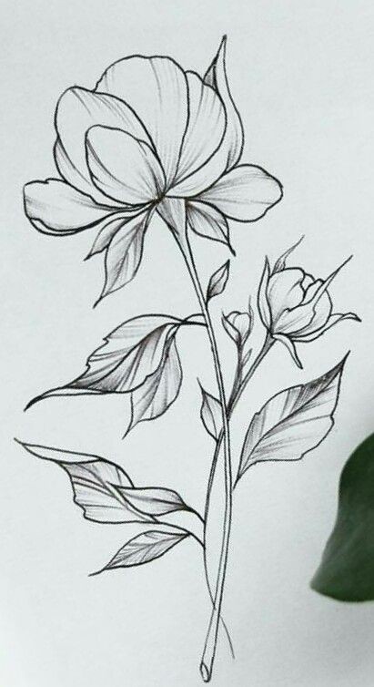 50 top idées de dessins de fleurs : pour apprendre à dessiner des fleurs facilement 8