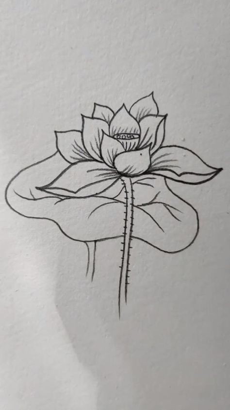 50 top idées de dessins de fleurs : pour apprendre à dessiner des fleurs facilement 9