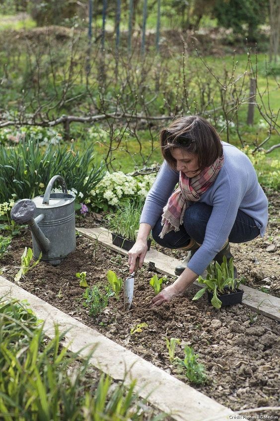 10 astuces hyper-simples pour avoir de beaux légumes 2