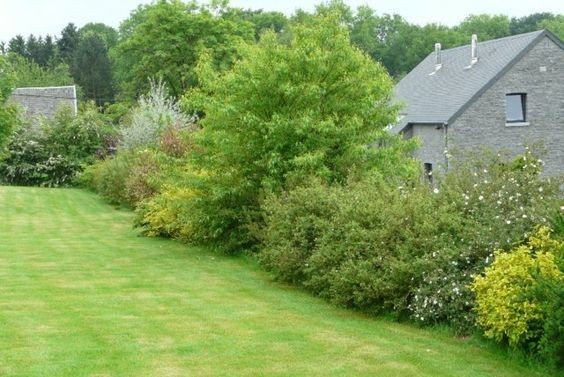 30 astuces pour entretenir son jardin sans se ruiner 1