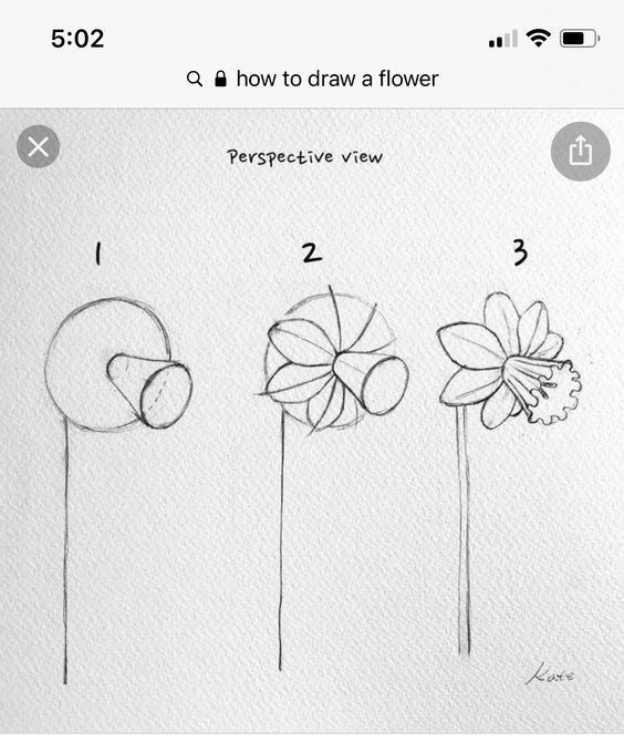 50 idées & tutos de dessins de fleurs 15