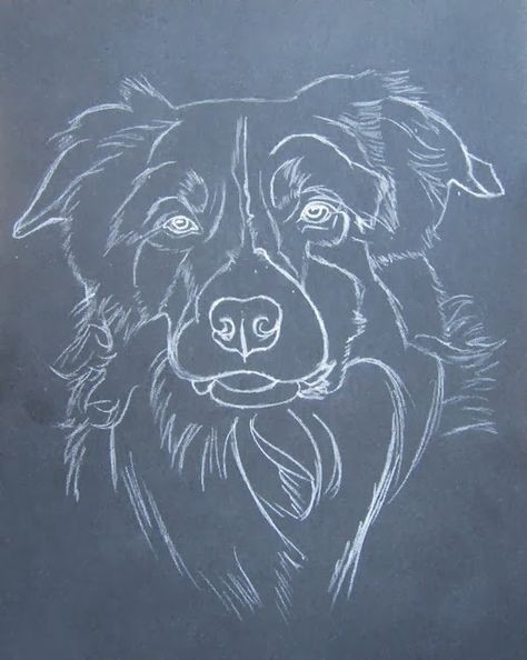 57 idées de dessins de chien pour apprendre à dessiner des chiens 17