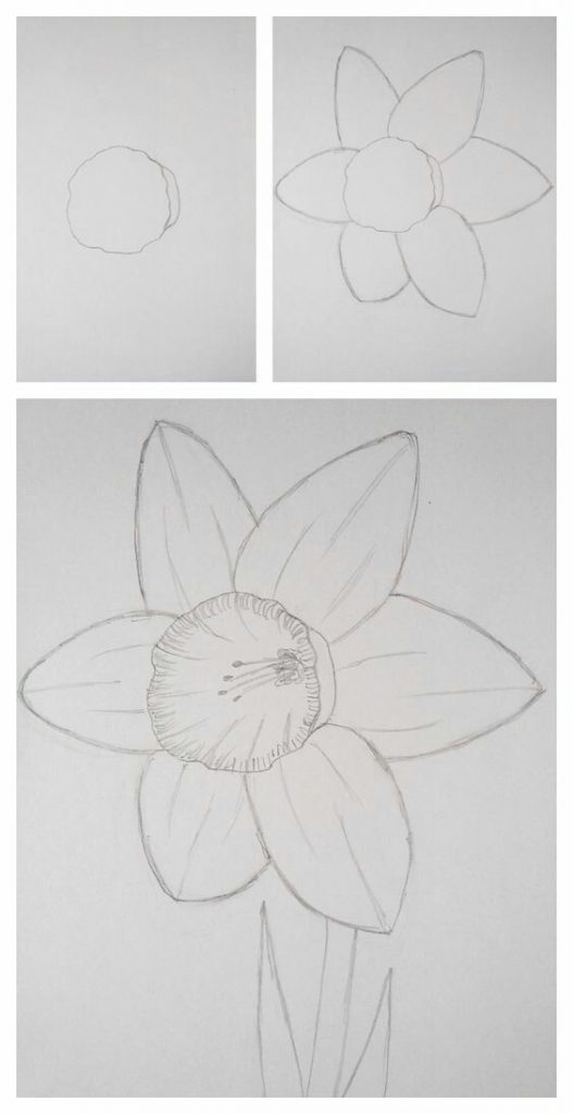 50 idées & tutos de dessins de fleurs 17