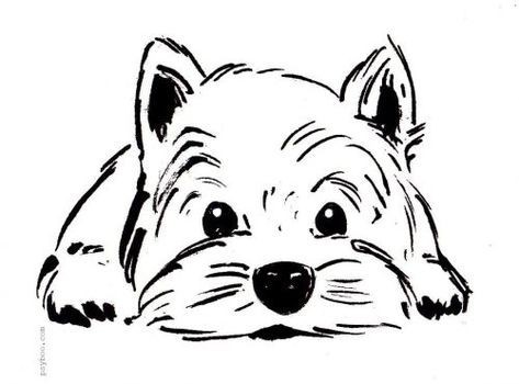 57 idées de dessins de chien pour apprendre à dessiner des chiens 18