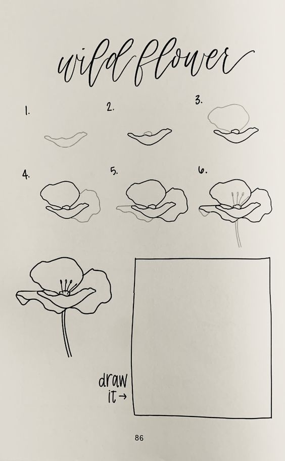 50 idées & tutos de dessins de fleurs 24