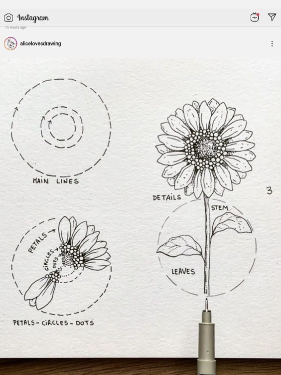 50 idées & tutos de dessins de fleurs 32