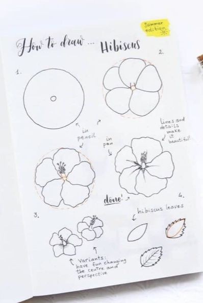 50 idées & tutos de dessins de fleurs 36